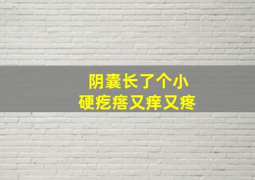 阴囊长了个小硬疙瘩又痒又疼