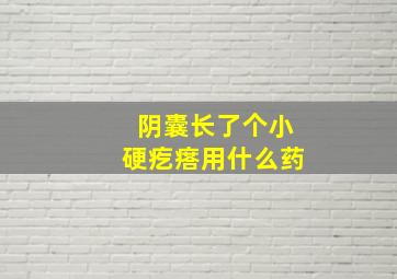 阴囊长了个小硬疙瘩用什么药