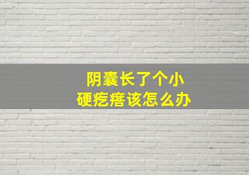 阴囊长了个小硬疙瘩该怎么办