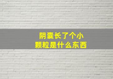 阴囊长了个小颗粒是什么东西