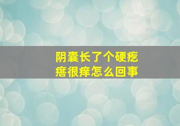 阴囊长了个硬疙瘩很痒怎么回事