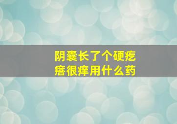 阴囊长了个硬疙瘩很痒用什么药