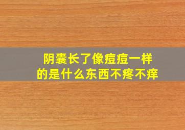 阴囊长了像痘痘一样的是什么东西不疼不痒