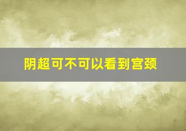 阴超可不可以看到宫颈