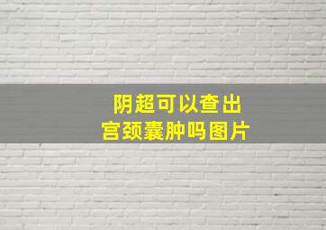 阴超可以查出宫颈囊肿吗图片