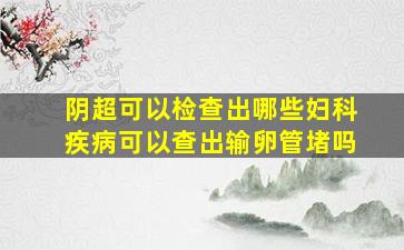 阴超可以检查出哪些妇科疾病可以查出输卵管堵吗