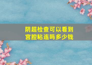 阴超检查可以看到宫腔粘连吗多少钱