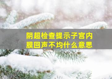 阴超检查提示子宫内膜回声不均什么意思