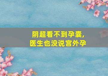 阴超看不到孕囊,医生也没说宫外孕