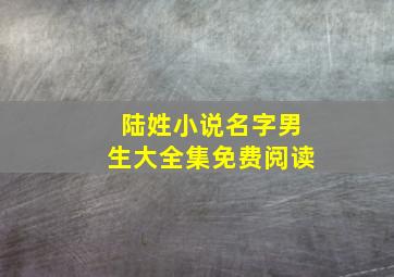 陆姓小说名字男生大全集免费阅读