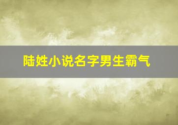 陆姓小说名字男生霸气