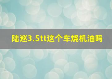 陆巡3.5tt这个车烧机油吗