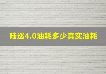 陆巡4.0油耗多少真实油耗