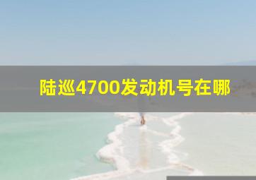 陆巡4700发动机号在哪