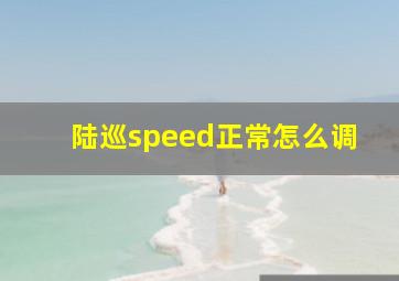 陆巡speed正常怎么调