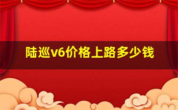 陆巡v6价格上路多少钱