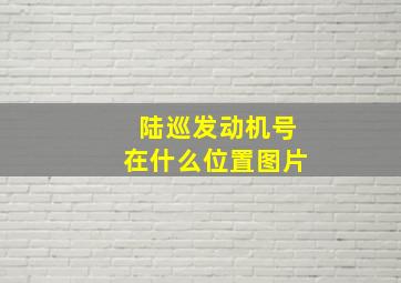 陆巡发动机号在什么位置图片