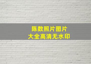 陈数照片图片大全高清无水印