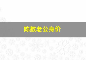 陈数老公身价