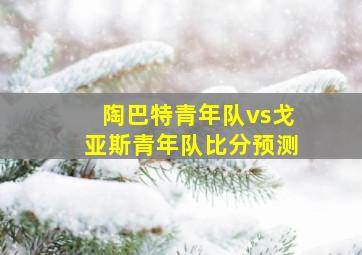 陶巴特青年队vs戈亚斯青年队比分预测