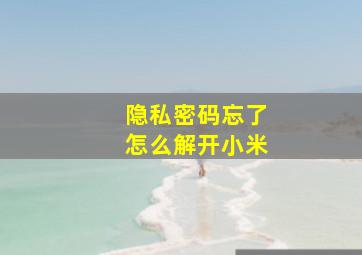 隐私密码忘了怎么解开小米