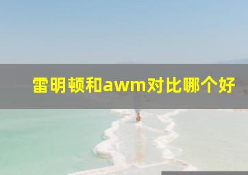 雷明顿和awm对比哪个好