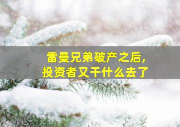 雷曼兄弟破产之后,投资者又干什么去了