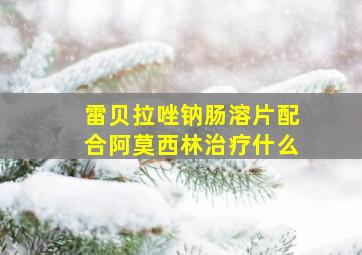 雷贝拉唑钠肠溶片配合阿莫西林治疗什么