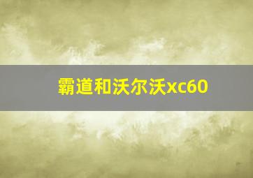 霸道和沃尔沃xc60