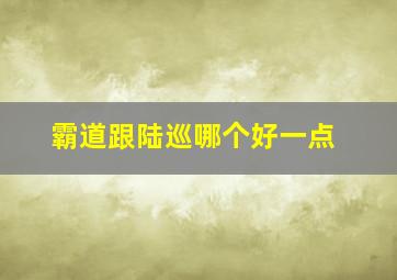 霸道跟陆巡哪个好一点