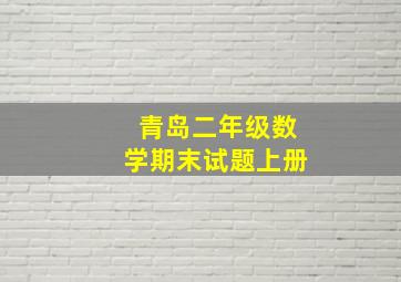 青岛二年级数学期末试题上册