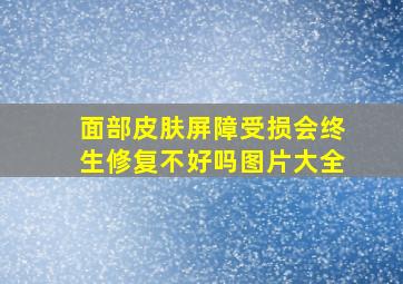 面部皮肤屏障受损会终生修复不好吗图片大全