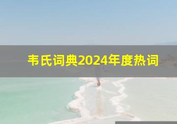 韦氏词典2024年度热词