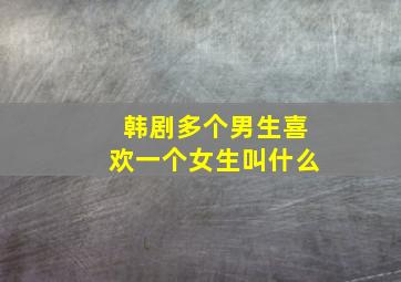 韩剧多个男生喜欢一个女生叫什么