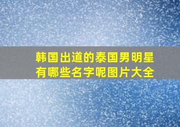 韩国出道的泰国男明星有哪些名字呢图片大全