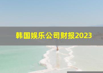 韩国娱乐公司财报2023