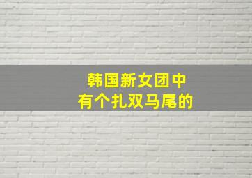 韩国新女团中有个扎双马尾的