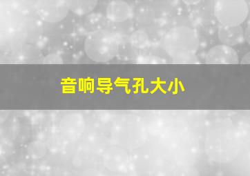 音响导气孔大小