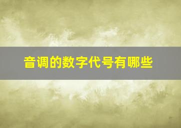 音调的数字代号有哪些