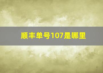 顺丰单号107是哪里