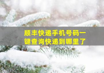 顺丰快递手机号码一键查询快递到哪里了