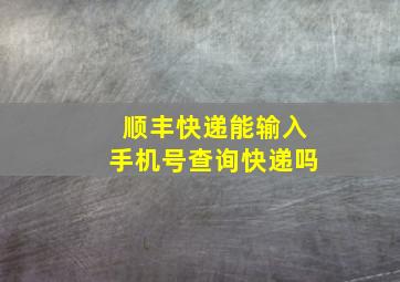 顺丰快递能输入手机号查询快递吗