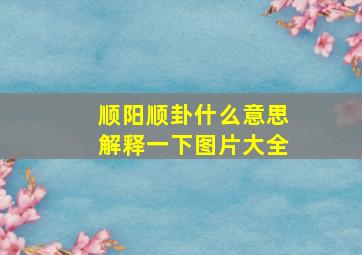 顺阳顺卦什么意思解释一下图片大全