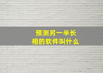 预测另一半长相的软件叫什么