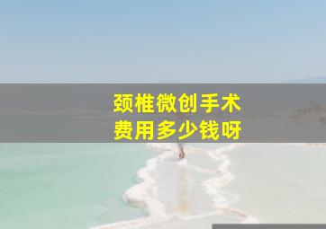 颈椎微创手术费用多少钱呀