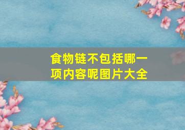 食物链不包括哪一项内容呢图片大全