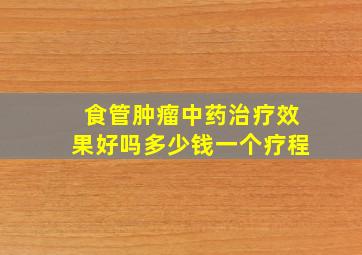 食管肿瘤中药治疗效果好吗多少钱一个疗程