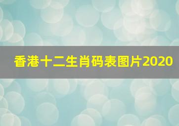 香港十二生肖码表图片2020