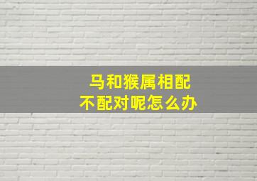 马和猴属相配不配对呢怎么办