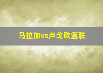 马拉加vs卢戈欧篮联